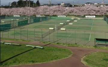 草大会情報 テニス365 tennis365 net テニスイエローページ