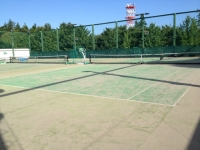 わかばテニスコート テニス施設 テニススクール テニス365 Tennis365 Net テニスイエローページ